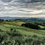 Agriturismo Montalbino – Montespertoli