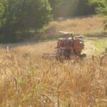 Agriturismo Ristoro del Cavaliere – Piazza al Serchio