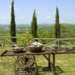 Agriturismo Aia Vecchia di Montalceto – Asciano