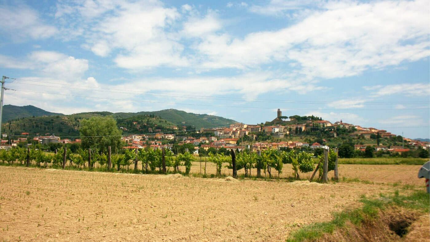 Agriturismo Pozzonovo – Castiglion Fiorentino