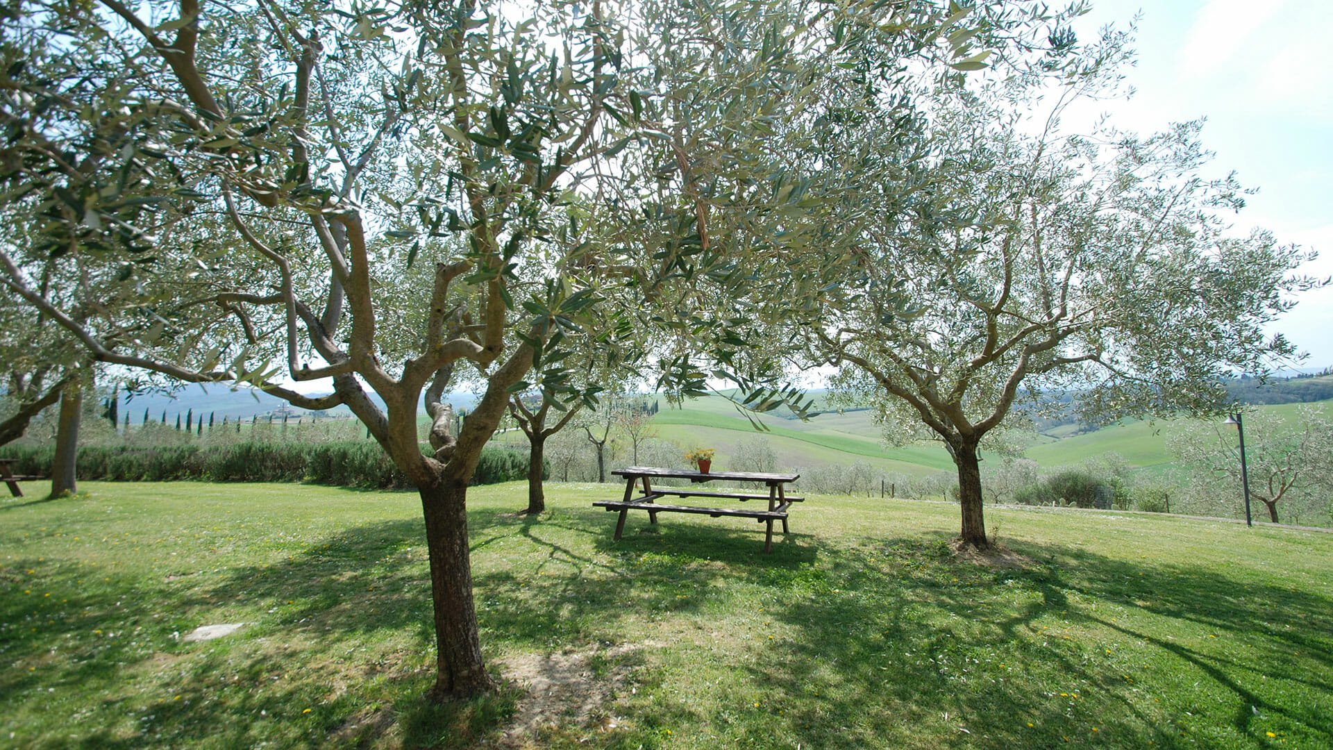 Agriturismo Bellavista, Toscana