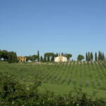 Villa Santo Stefano – Vescovado di Murlo