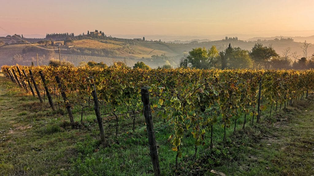 Toscana-vinmarker