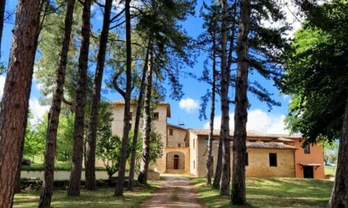Villa Borgo ai Pini Marche