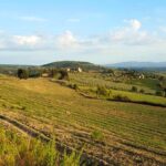 Agriturismo la Collinella – Montaione