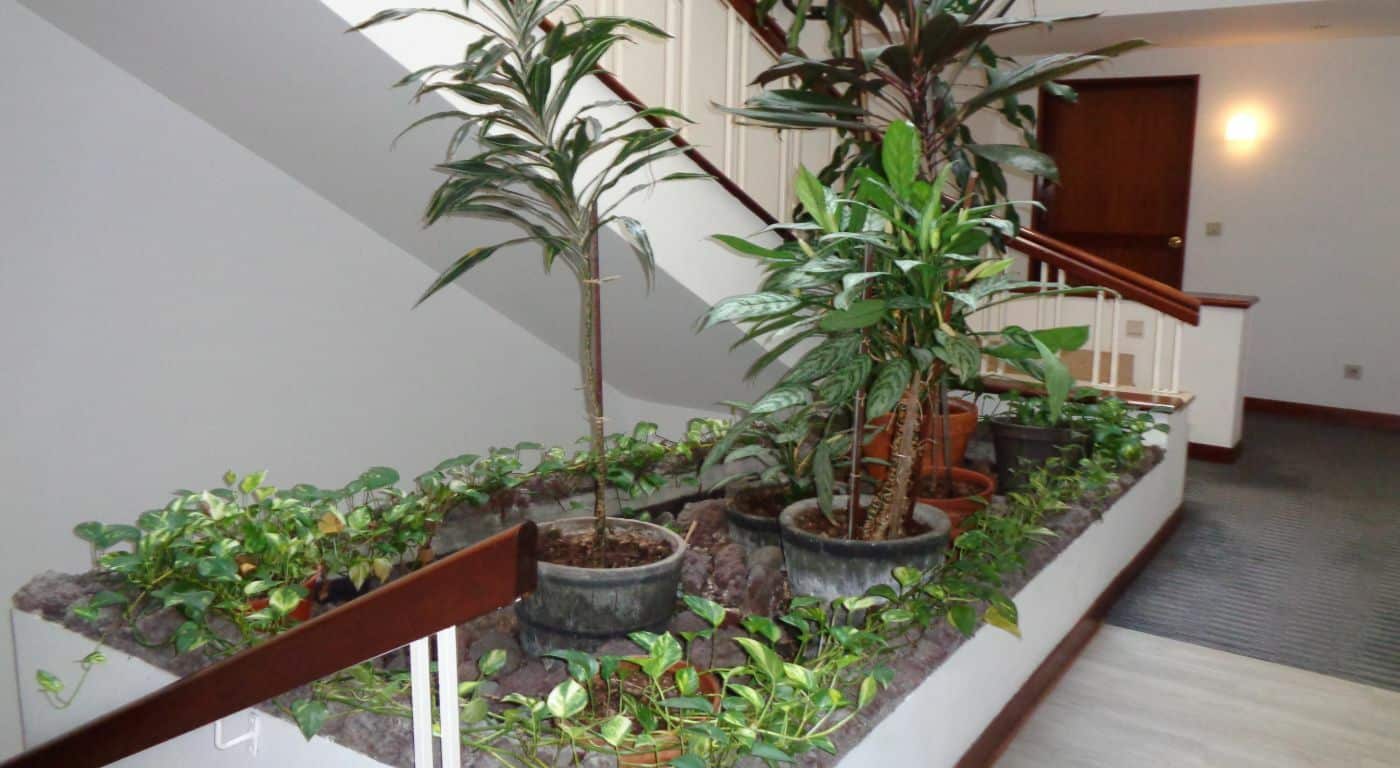 Aparthotel Imperatriz – Madeira