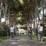 Park Hotel Marinetta – Marina di Bibbona
