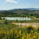 Agriturismo Belmonte – Montaione