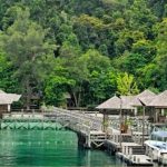 Borneo: Luksusrejse til Sabah, Borneo – 11 dage