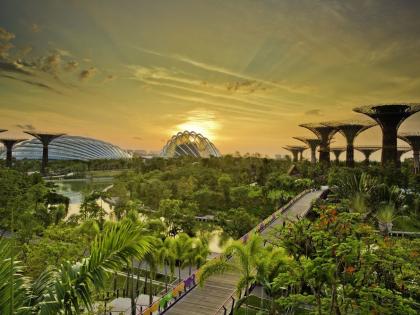 Gardens-By-The-Bay-in-Singapore-2