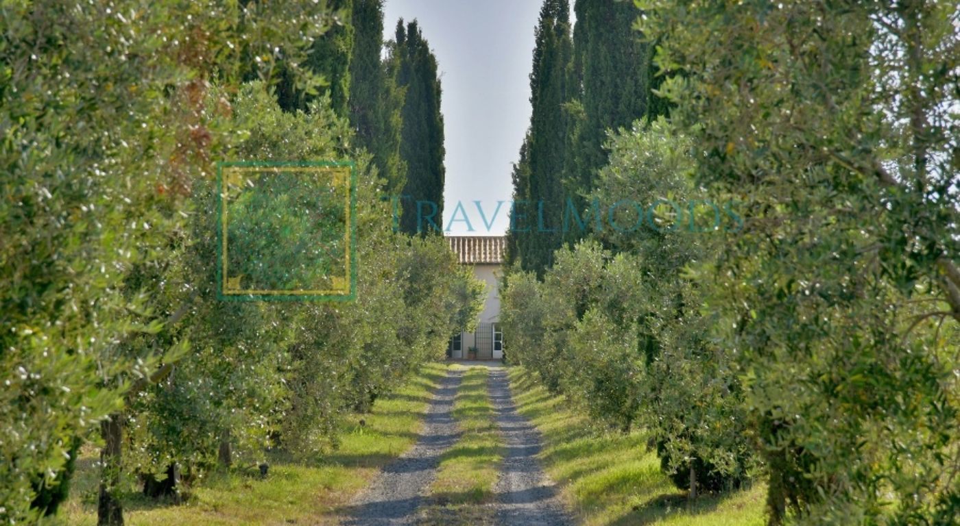 Villa Modiani – Pisa området