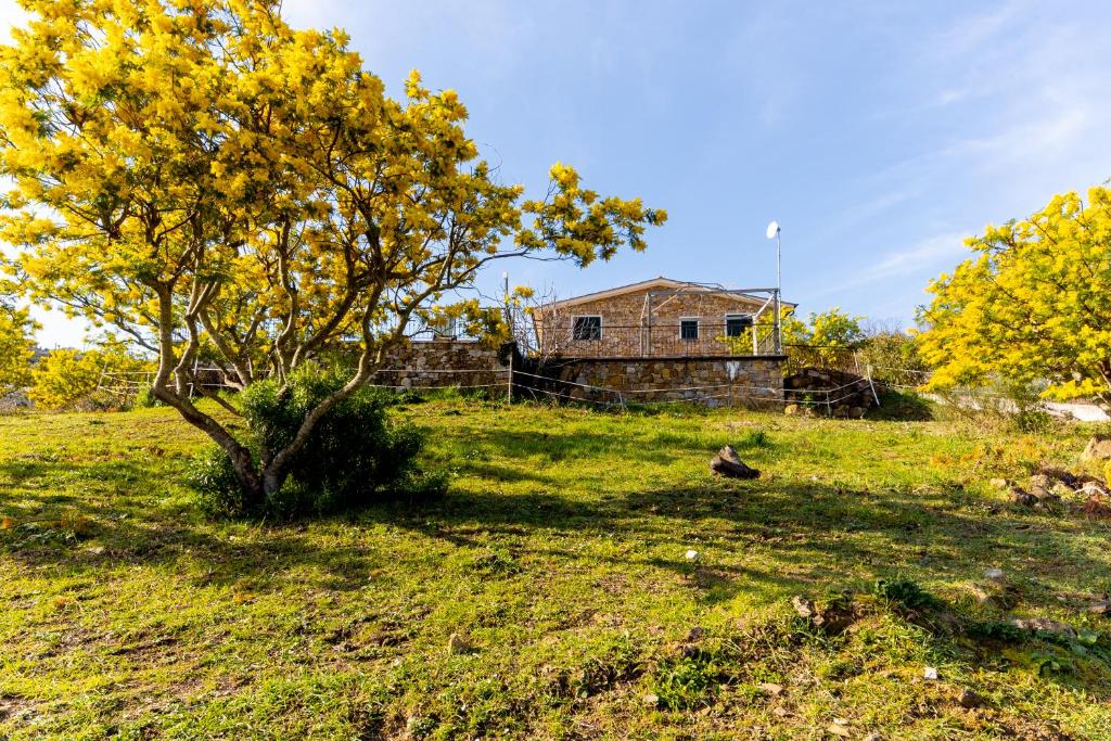 Agriturismo Le Mimose – Imperia