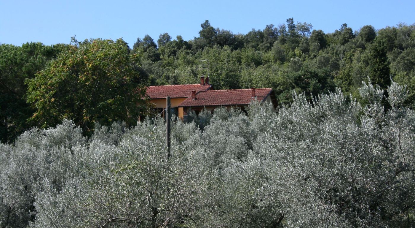Villa La Maesta – Monte San Savino
