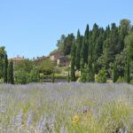 Agriturismo Borgo Il Castagno – Gambassi Terme