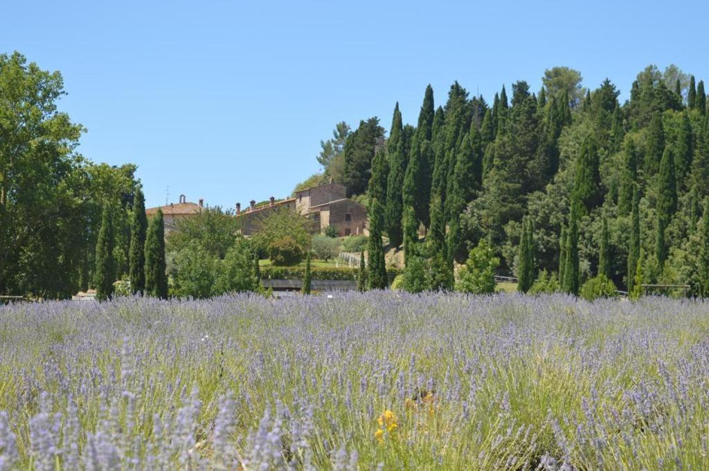 Agriturismo Borgo Il Castagno – Gambassi Terme