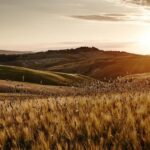 Agriturismo Borgo Il Castagno – Gambassi Terme