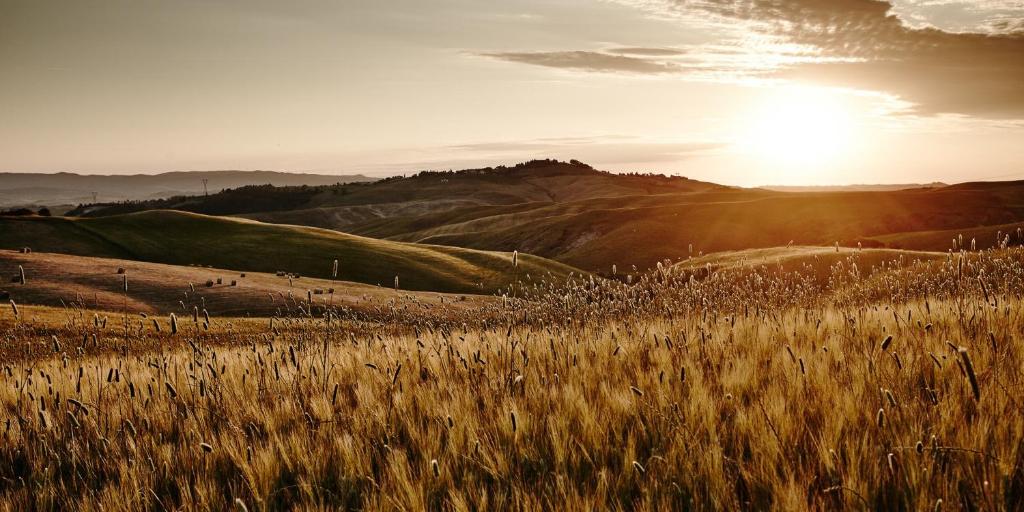 Agriturismo Borgo Il Castagno – Gambassi Terme