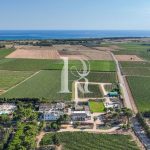 Eméra Wine Resort Claudio Quarta – Lizzano