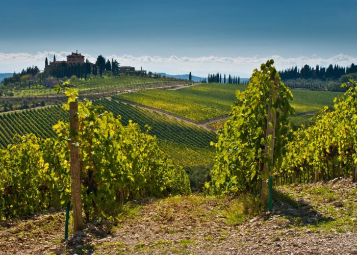 Vinlandskab i Toscana Vinlandskab i Toscana
