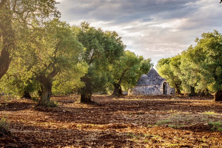 puglia Villa i Apulien