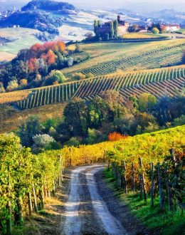 Rejser til Piemonte