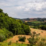 Le Cune Country House – Palazzo di Arcevia