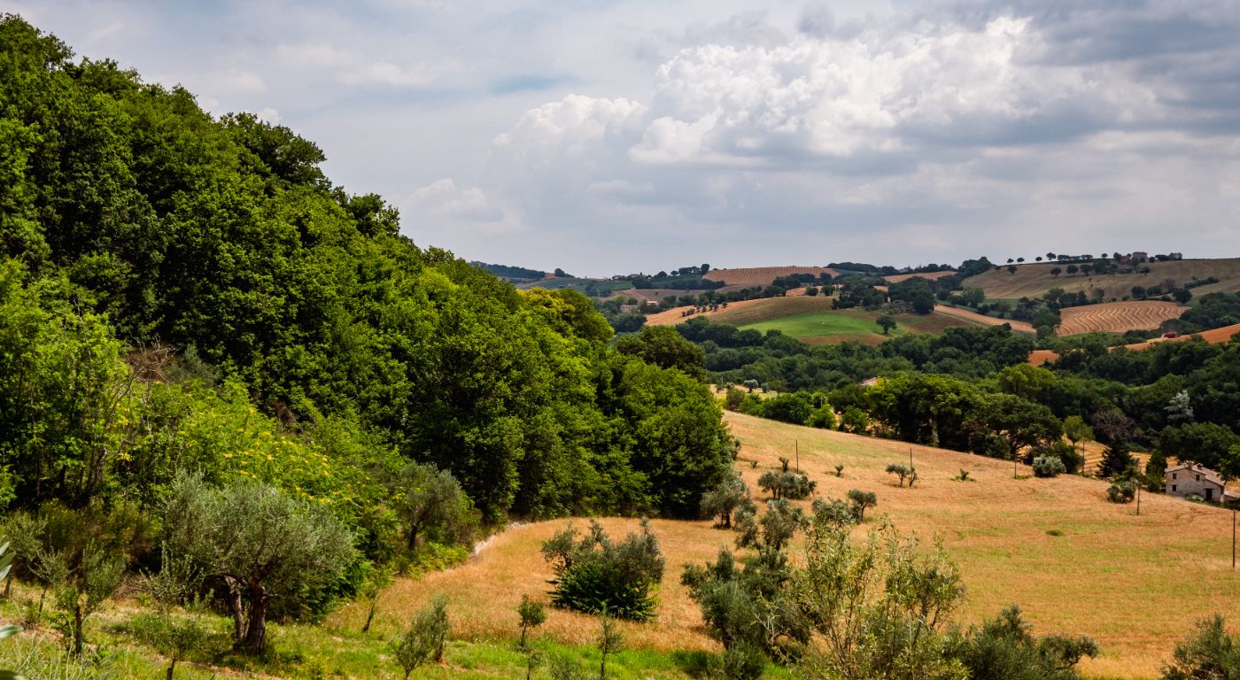 Le Cune Country House – Palazzo di Arcevia