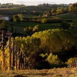 Monvi Wine Relais – Costigliole d’Asti