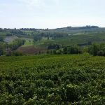 Naturalmente Wine Resort – Agliano Terme