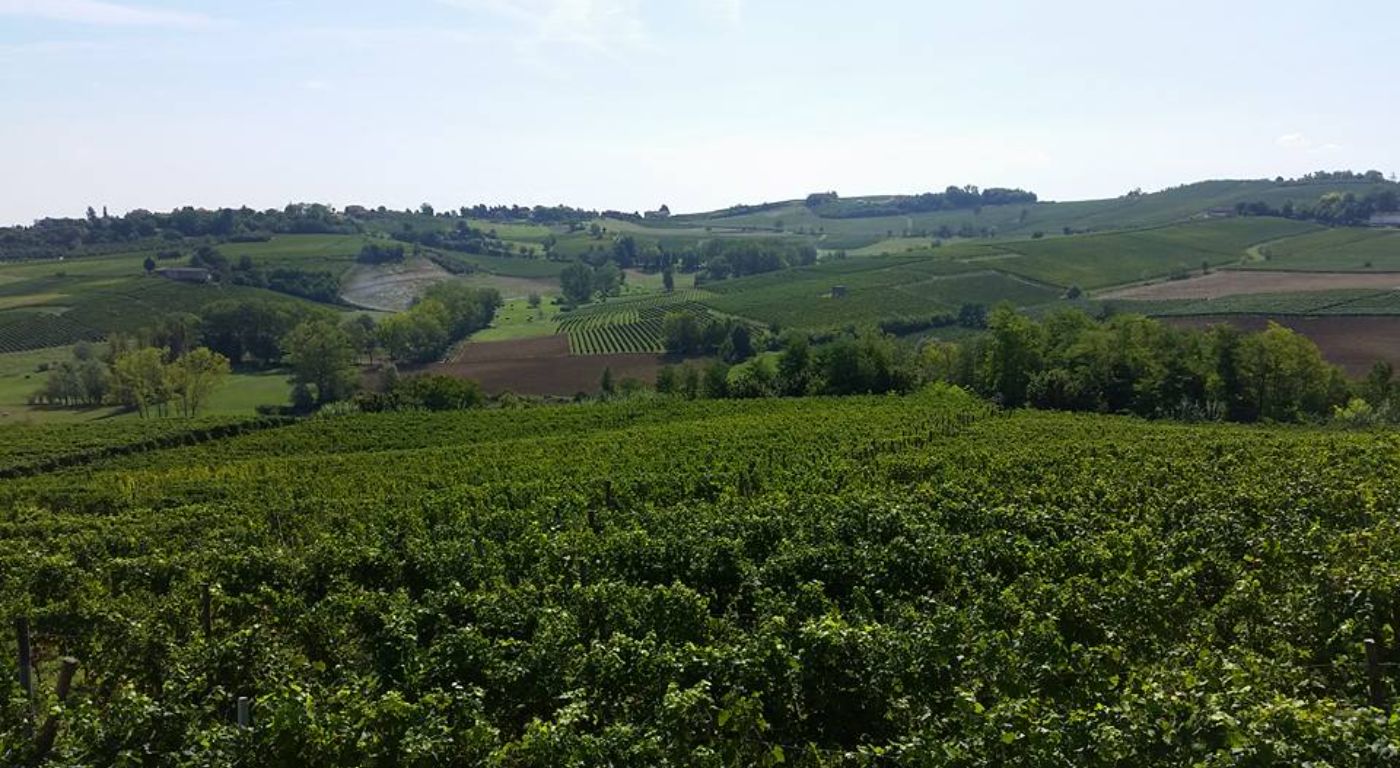 Naturalmente Wine Resort – Agliano Terme