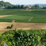 Naturalmente Wine Resort – Agliano Terme