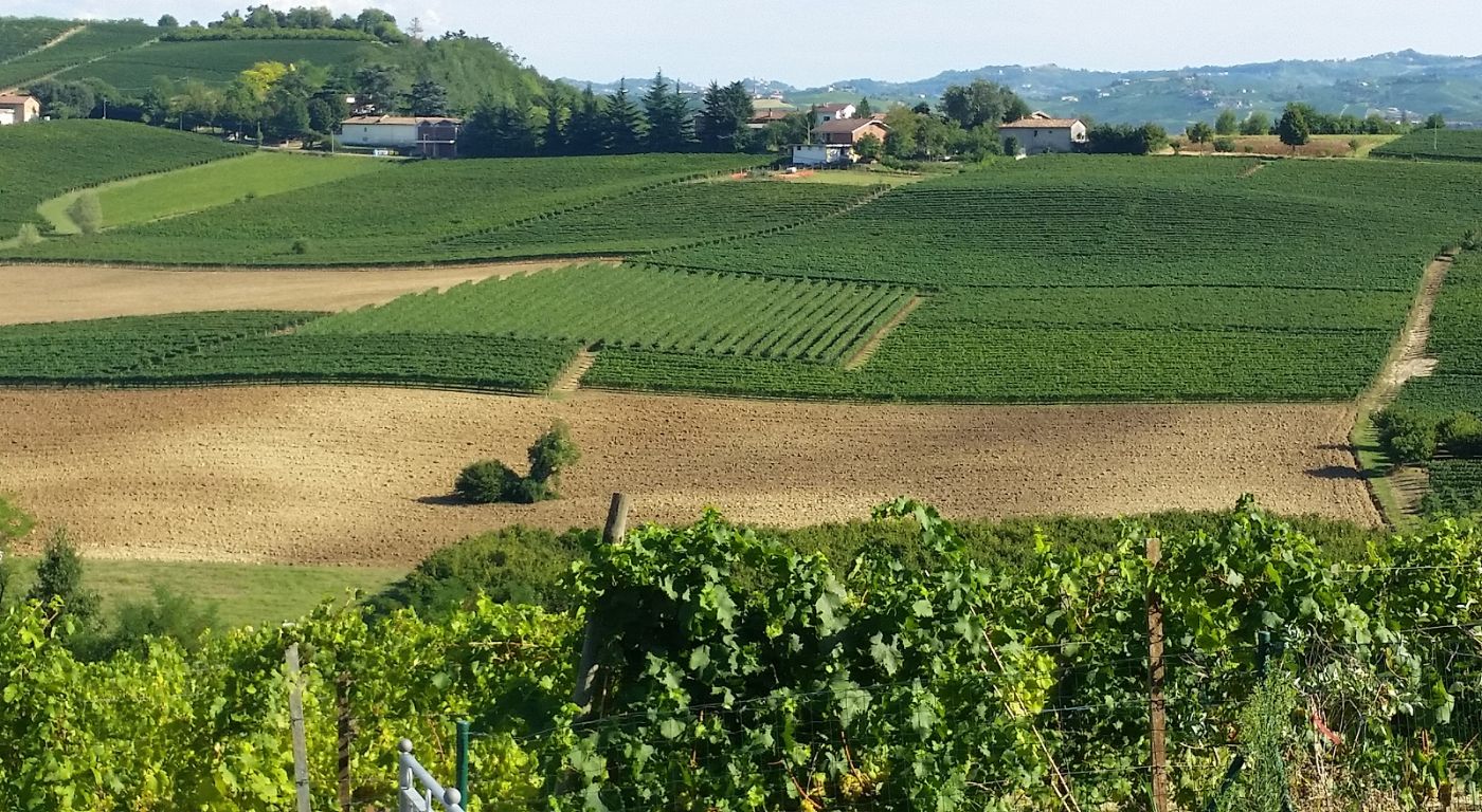 Naturalmente Wine Resort – Agliano Terme