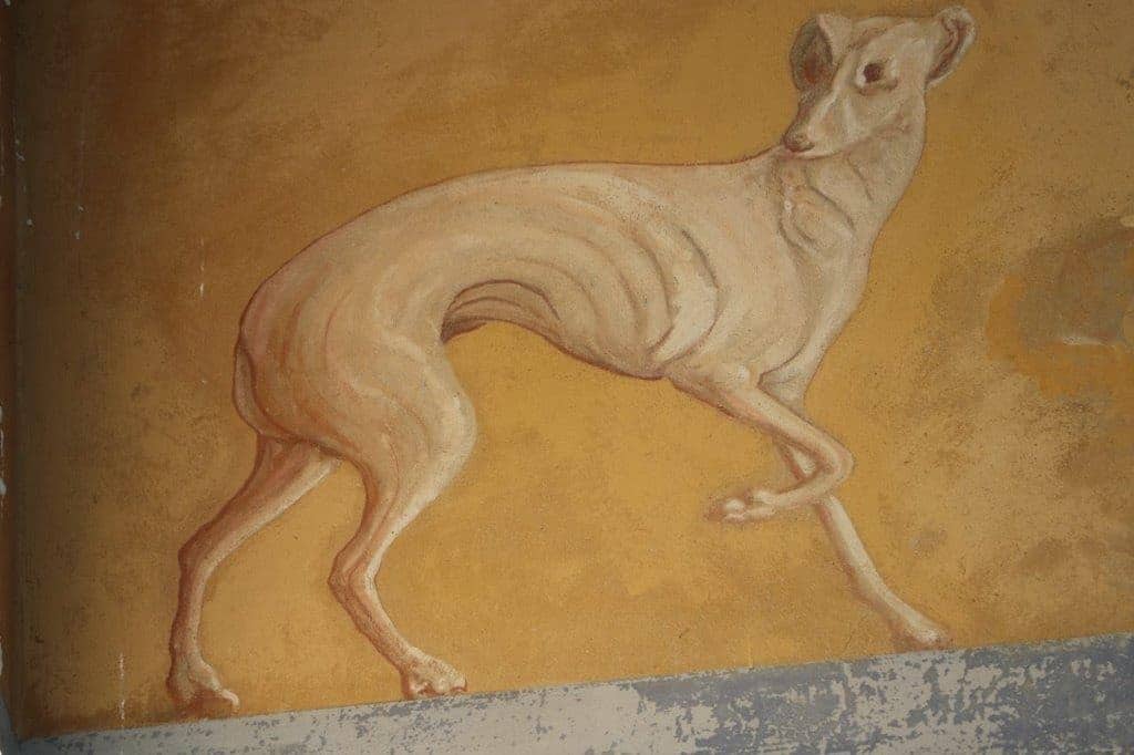 Villa Fazi – Ortezzano