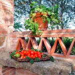 Villa Scannagallo – Foiano della Chiana