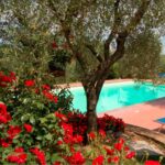 Villa Scannagallo – Foiano della Chiana