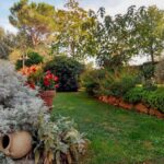 Villa Scannagallo – Foiano della Chiana