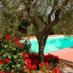 Villa Scannagallo – Foiano della Chiana