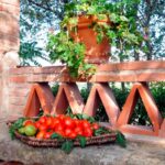 Villa Scannagallo – Foiano della Chiana