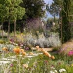 Terre Dei Ghelfi Country Resort – Castagneto Carducci