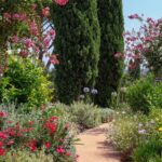 Terre Dei Ghelfi Country Resort – Castagneto Carducci