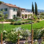 Terre Dei Ghelfi Country Resort – Castagneto Carducci