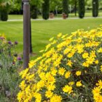 Residence Antico Casale – Sarzana