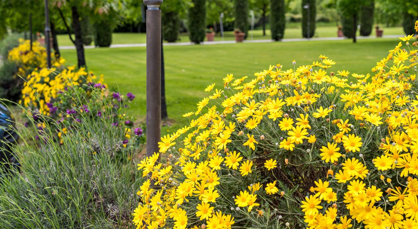 Residence Antico Casale – Sarzana