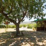 Agriturismo Podere il Poggiolo – Pontassieve