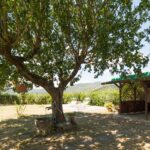 Agriturismo Podere il Poggiolo – Pontassieve