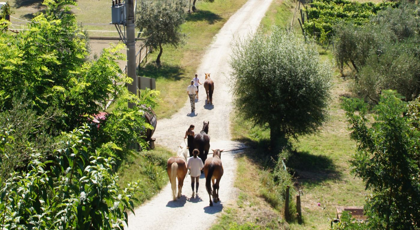 Agriturismo Podere il Poggiolo – Pontassieve