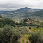 Agriturismo Podere il Poggiolo – Pontassieve