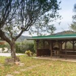 Agriturismo Podere il Poggiolo – Pontassieve