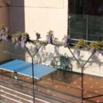 Residence Olivotti – Finale Ligure