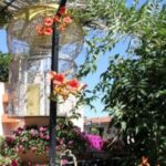 Residence Olivotti – Finale Ligure